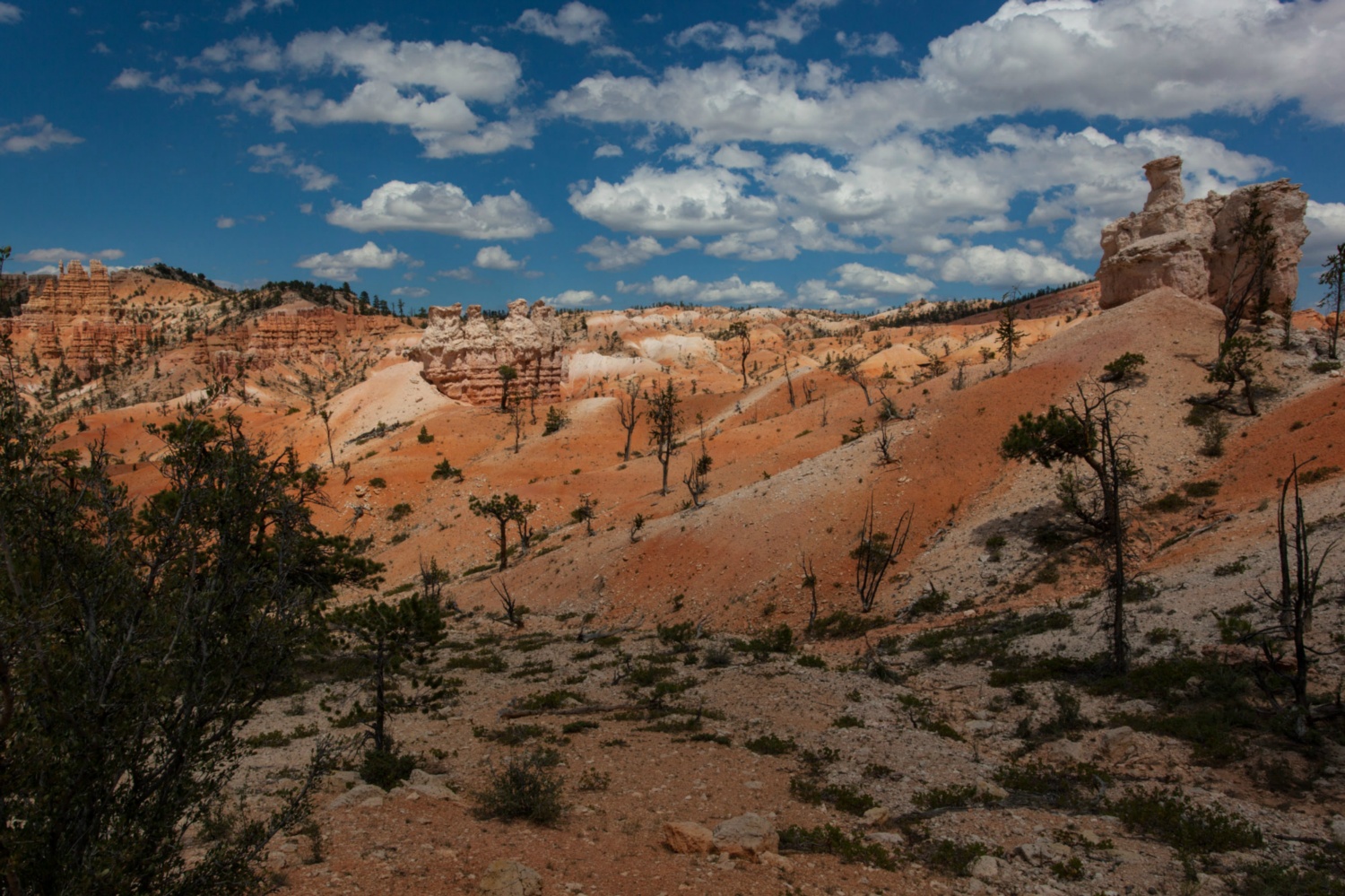 USA_Bryce Canyon_240